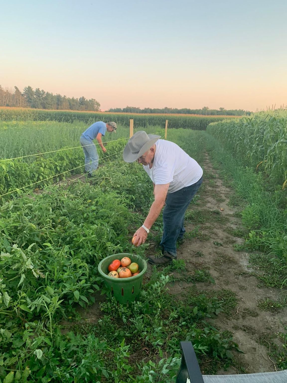 Peters Produce fruit and vegetable farm in Aylmer, Ontario.