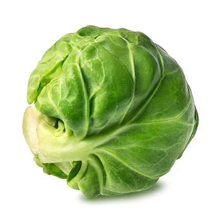 Brussel Sprouts from Peters Produce